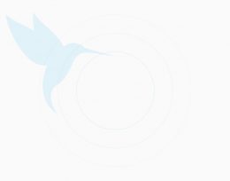 colibri colibri